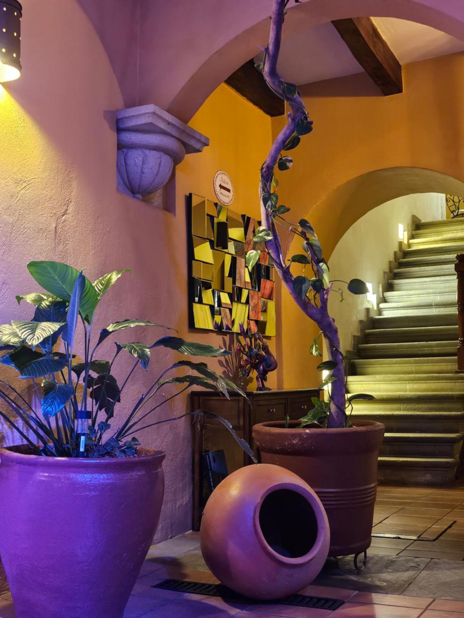 Hotel Casa Divina Oaxaca Buitenkant foto